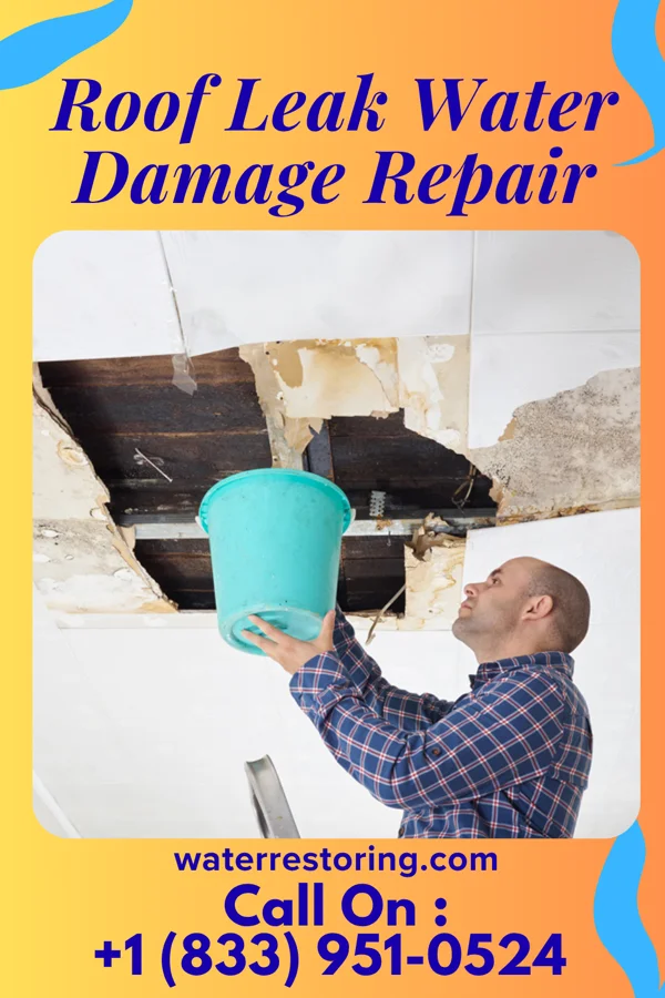 Roof Leak Water Damage Repair in Jasper, GA